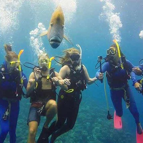 Scuba Diving in Cairns - Klook Canada